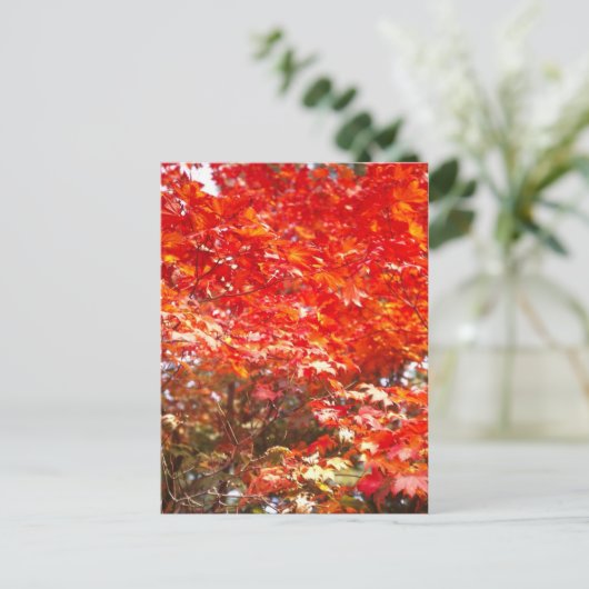 Herfstbladeren, Sapporo Briefkaart (Staand voorkant)