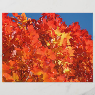 Herfstbladeren Scrapbook papier Scrapbooking Oranj