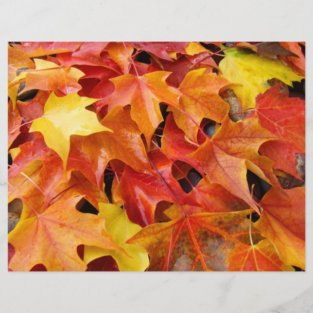 Herfstbladeren Scrapbooking papier Herfstbladeren (Voorkant)