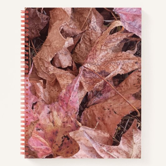 Herfstbladeren Spiral Journal Notitieboek (Voorkant)