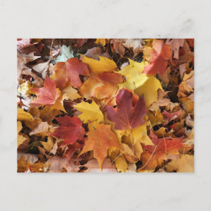 Herfstbladeren stapelen zich op briefkaart