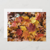 Herfstbladeren stapelen zich op briefkaart (Voorkant / Achterkant)