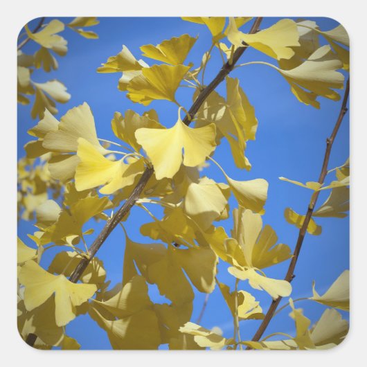 Herfstbladeren Sticker (Voorkant)