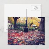 Herfstbladeren Stoep Uitzicht Briefkaart (Voorkant / Achterkant)