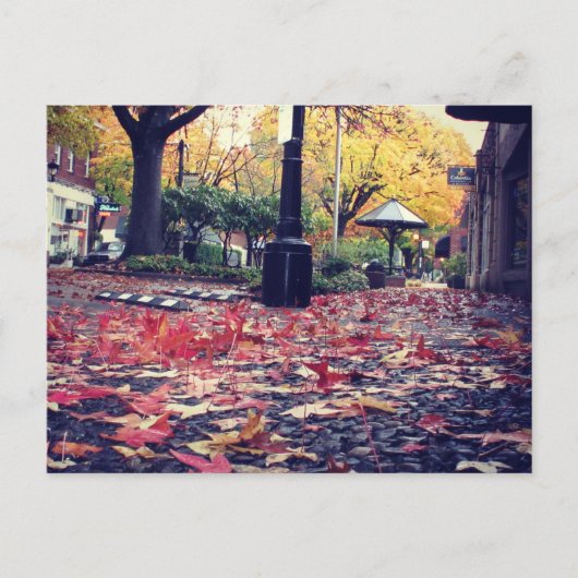 Herfstbladeren Stoep Uitzicht Briefkaart (Voorkant)