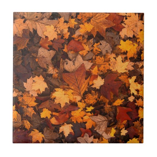 Herfstbladeren Tegeltje (Voorkant)