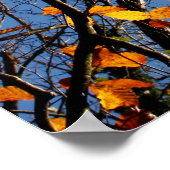 Herfstbladeren tegen een blauwe lucht poster (Hoek)