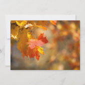 herfstbladeren Thanksgiving feest uitnodiging (Achterkant)