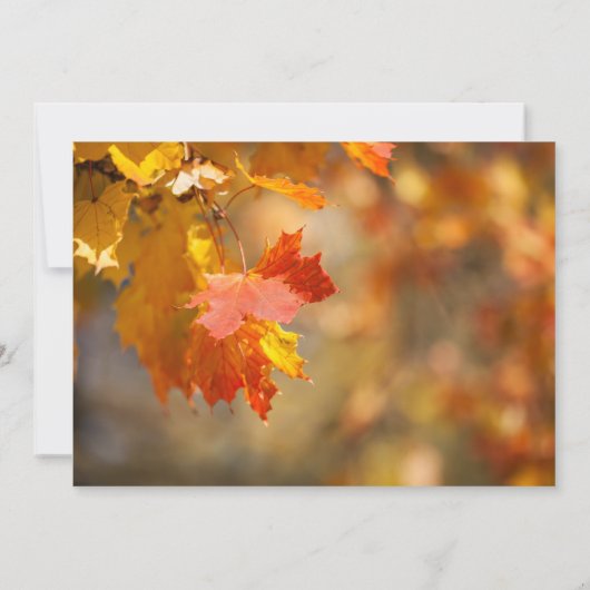 herfstbladeren Thanksgiving feest uitnodiging (Achterkant)