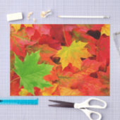 Herfstbladeren Tissuepapier (Craft)