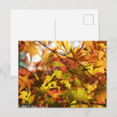 Herfstbladeren: Tokio Briefkaart (Voorkant / Achterkant)