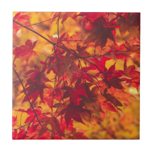 Herfstbladeren valkleur rood keramiek tegel tegeltje