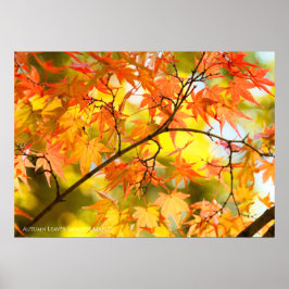 Herfstbladeren [Value Poster Paper]