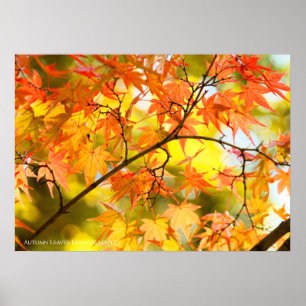 Herfstbladeren [Value Poster Paper]