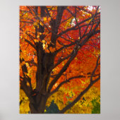 Herfstbladeren van Geel en Oranje, Verticale ZSSPG Poster (Voorkant)