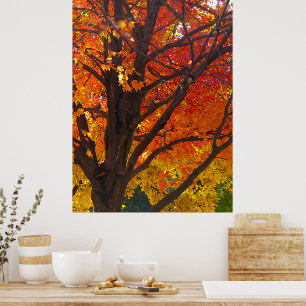 Herfstbladeren van Geel en Oranje, Verticale ZSSPG Poster