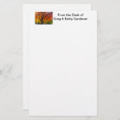 Herfstbladeren van geel en Sinaasappel Foto Briefpapier (Voorkant / Achterkant)