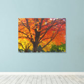 Herfstbladeren van geel en Sinaasappel Foto Canvas Afdruk (Insitu (Houten vloer))