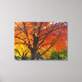 Herfstbladeren van geel en Sinaasappel Foto Canvas Afdruk (Voorkant)