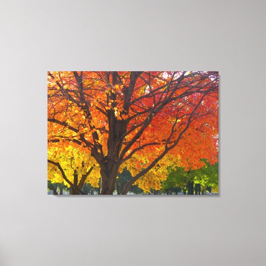 Herfstbladeren van geel en Sinaasappel Foto Canvas Afdruk (Voorkant)