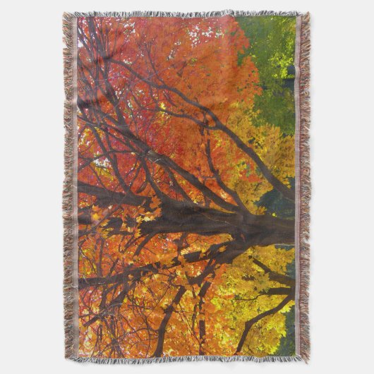 Herfstbladeren van geel en Sinaasappel Foto Deken (Voorkant Verticaal)