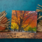 Herfstbladeren van geel en Sinaasappel Foto Fotoplaat (Zijkant)