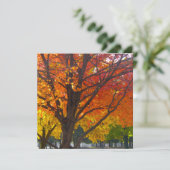 Herfstbladeren van geel en Sinaasappel Foto Kaart (Staand voorkant)