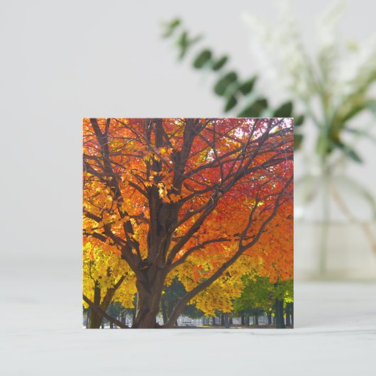 Herfstbladeren van geel en Sinaasappel Foto Kaart (Staand voorkant)