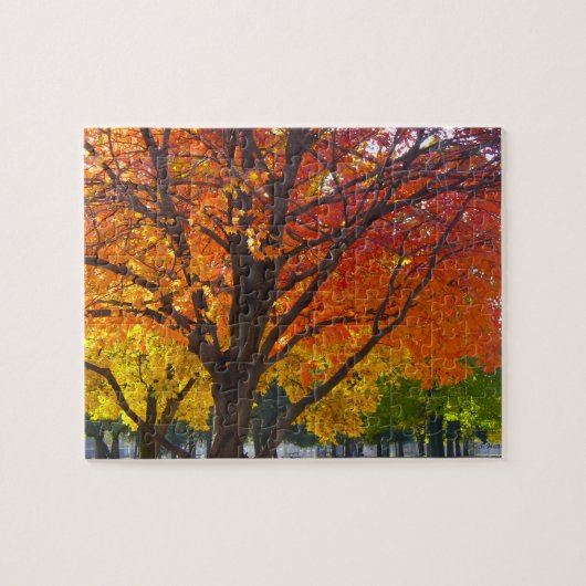 Herfstbladeren van geel en Sinaasappel Foto Legpuzzel (Horizontaal)