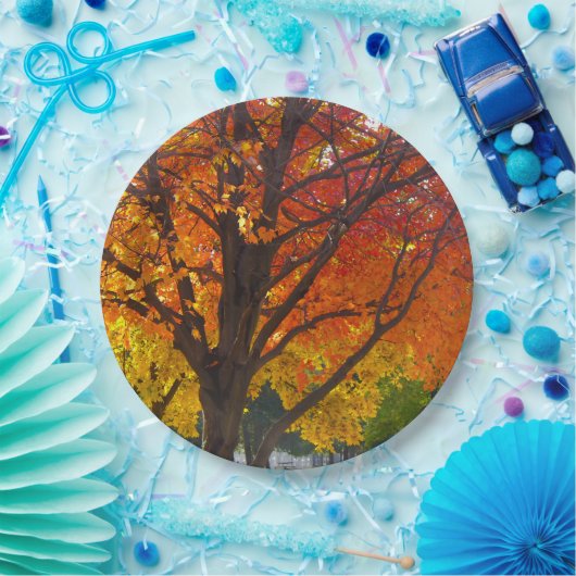 Herfstbladeren van geel en Sinaasappel Foto Papieren Bordje (Feest)