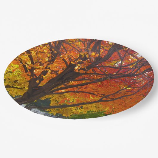 Herfstbladeren van geel en Sinaasappel Foto Papieren Bordje (Gekanteld)