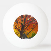 Herfstbladeren van geel en Sinaasappel Foto Pingpongbal (Achterkant)