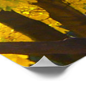 Herfstbladeren van geel en Sinaasappel Foto Poster (Hoek)