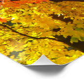 Herfstbladeren van geel en Sinaasappel Foto Poster (Hoek)