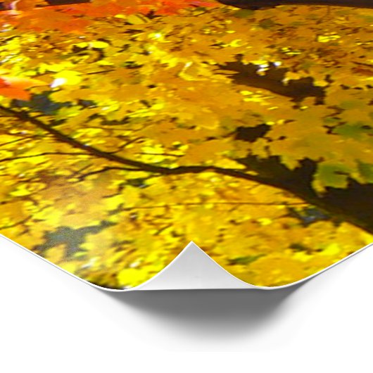 Herfstbladeren van geel en Sinaasappel Foto Poster (Hoek)