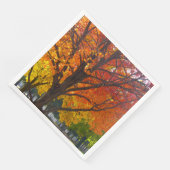 Herfstbladeren van geel en Sinaasappel Foto Servet (Hoek)