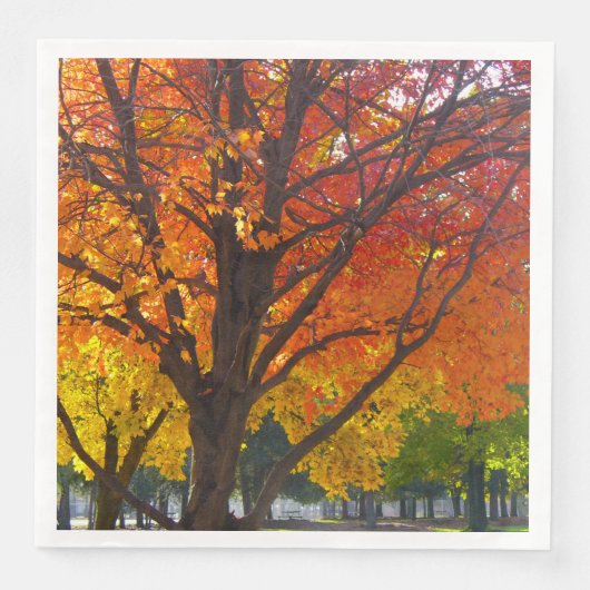 Herfstbladeren van geel en Sinaasappel Foto Servet (Voorkant)