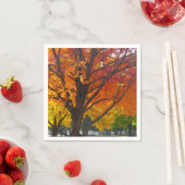 Herfstbladeren van geel en Sinaasappel Foto Servetten (Insitu)