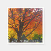 Herfstbladeren van geel en Sinaasappel Foto Servetten (Voorkant)