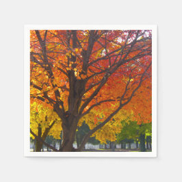 Herfstbladeren van geel en Sinaasappel Foto Servetten