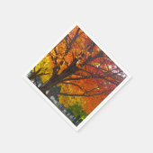 Herfstbladeren van geel en Sinaasappel Foto Servetten (Hoek)