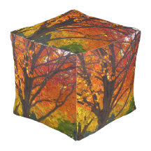 Herfstbladeren van geel en Sinaasappel Foto