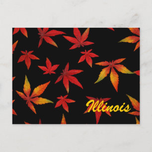 Herfstbladeren van Illinois Ansichtkaart Briefkaart