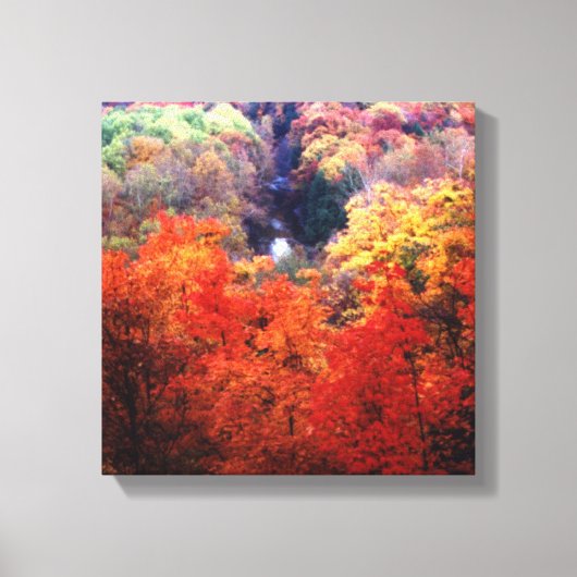 Herfstbladeren verkleurend canvas afdruk (Voorkant)
