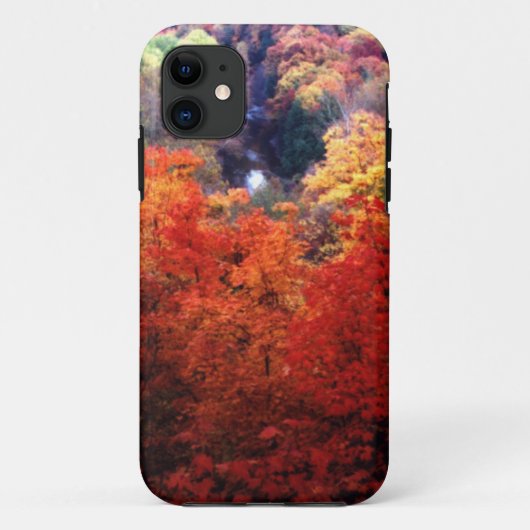 Herfstbladeren verkleurend Case-Mate iPhone case (Achterkant)