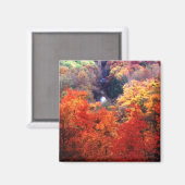 Herfstbladeren verkleurend magneet (Voorkant / Achterkant)