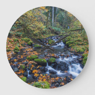 Herfstbladeren verspreid langs Gorton Creek Grote Klok