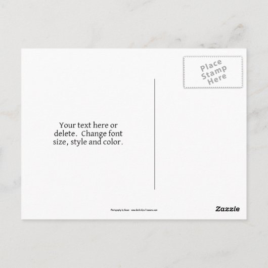 Herfstbladeren Vijver Natuurfotografie  Briefkaart (Achterkant)