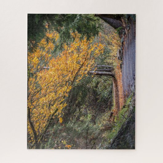 Herfstbladeren voor nu… legpuzzel (Verticaal)