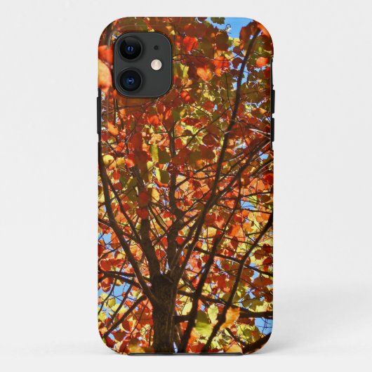 Herfstbladeren Vuurwerk Case-Mate iPhone Case (Achterkant)